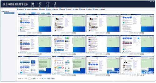 安企神信息安全管理软件 V5.2 企业上网行为监控与网络安全的绿色守护者